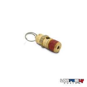 Valve de sécurité Air Lift Performance – 200 PSI (13,8 bar) – 1/4" NPT mâle